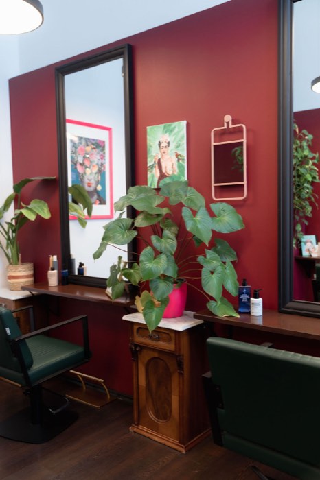 Bedienplatz mit bordeauxroter Wand, schwarzem Spiegelrahmen, Vintage-Kommode und Pflanzen